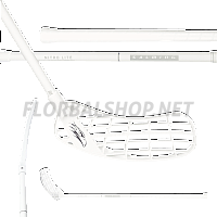 Salming Hawk Nitrolite 29 White/Silver