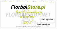 Bonu Podarunkowy