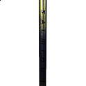 Salming Q-series Carbon Pro 2.0 Trident 29 Blue/Gold