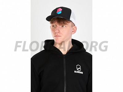 Blindsave Snapback Cap