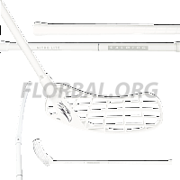 Salming Hawk Nitrolite 29 White/Silver