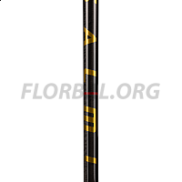 Salming Q-series Carbon Swift Shaft 29 Black/Red
