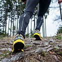 Salming Recoil Trail 2 Orange/Yellow