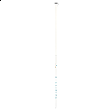 Salming P-Series Carbon Pro Shaft 29 JR White