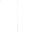 Salming Q-Series Carbon Pro Shaft 29 JR White