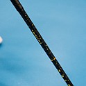 Salming Trident Q-series Carbon Pro 2.0 LTD 27 Black/Gold + čepel zdarma