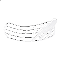 Salming Trident čepel